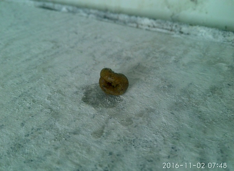 ´ڞg[DƬ
