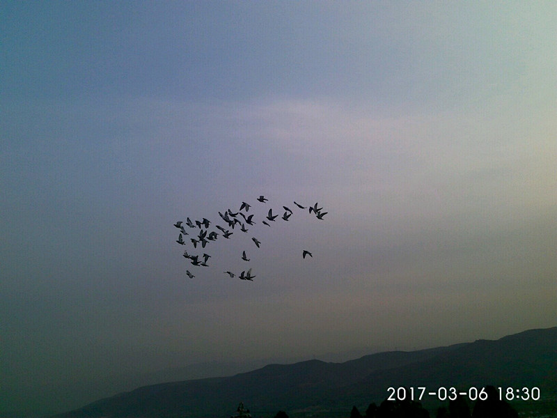 ´ڞg[DƬ