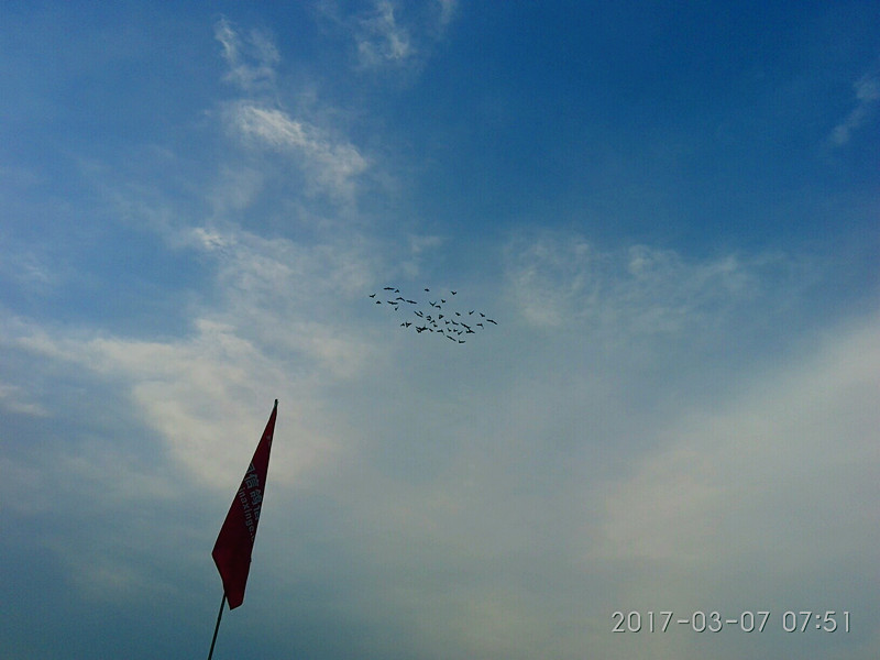 ´ڞg[DƬ