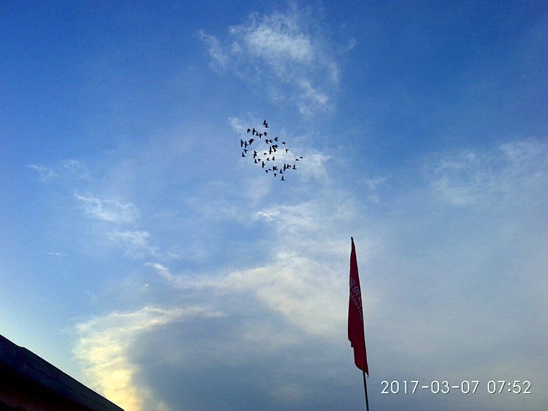 ´ڞg[DƬ