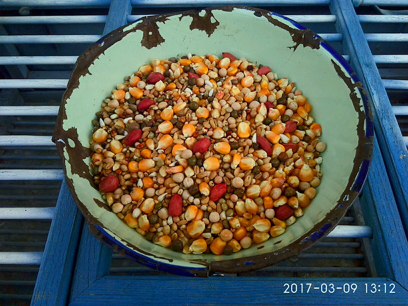 ´ڞg[DƬ