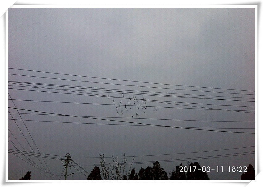 按此在新窗口瀏覽圖片