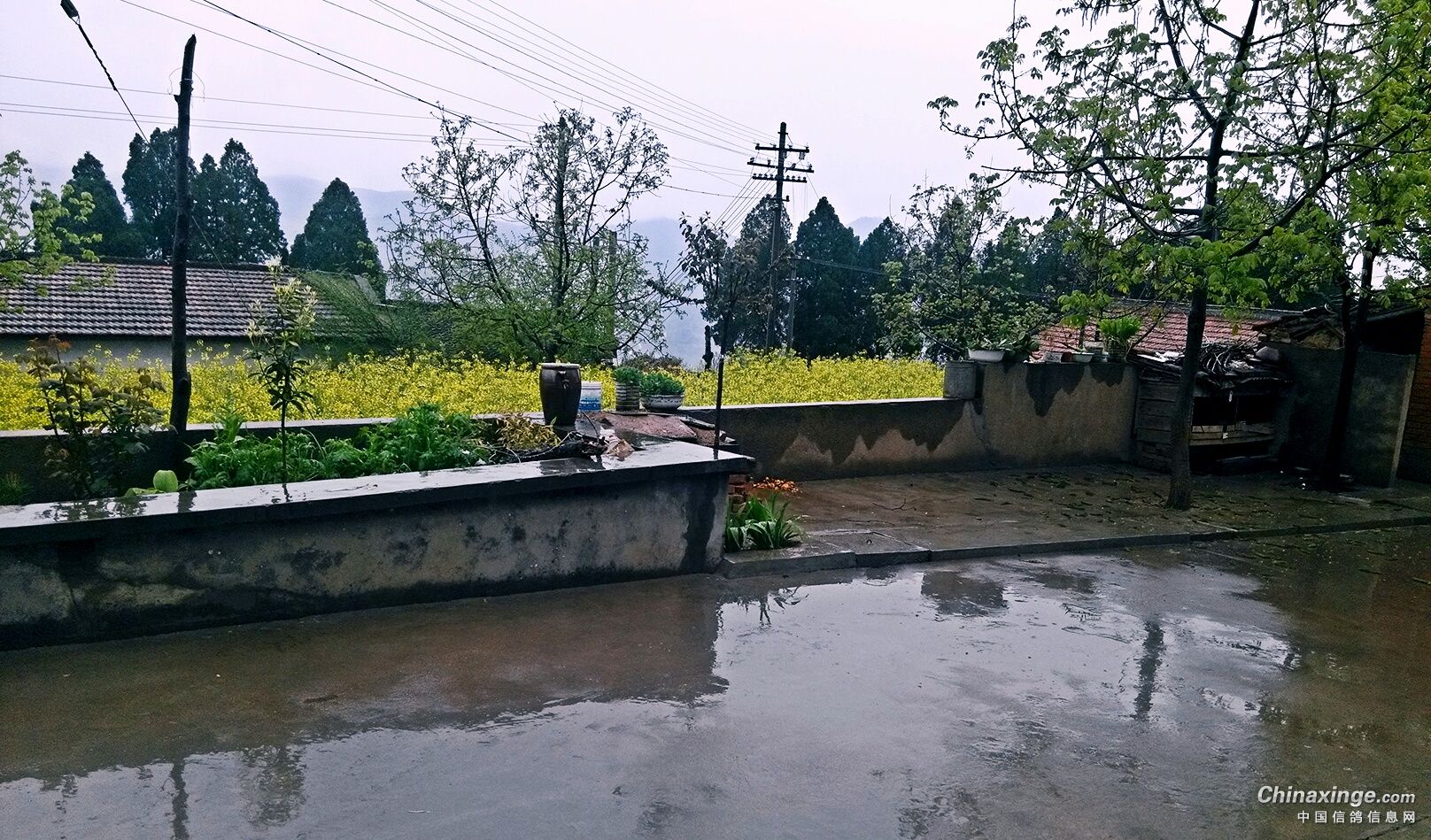 ´ڞg[DƬ