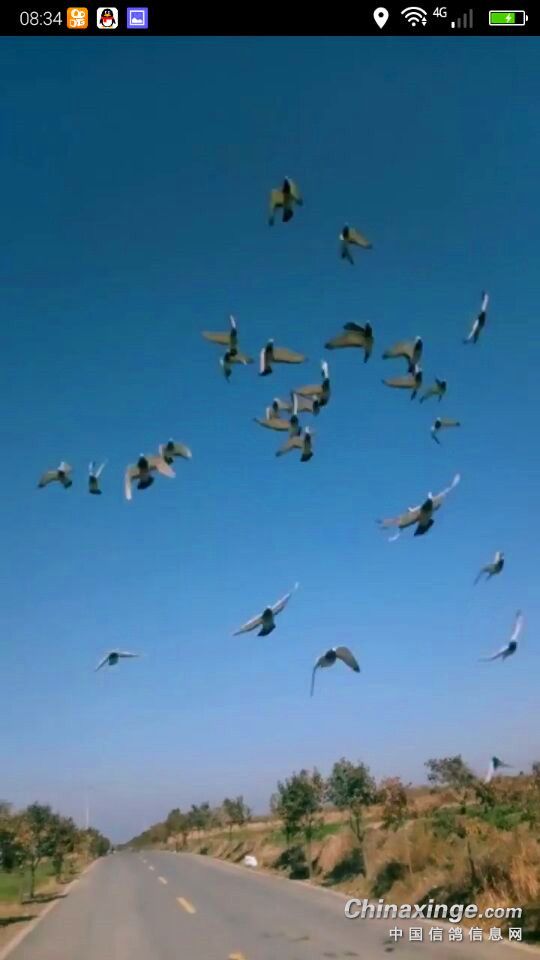 ´ڞg[DƬ