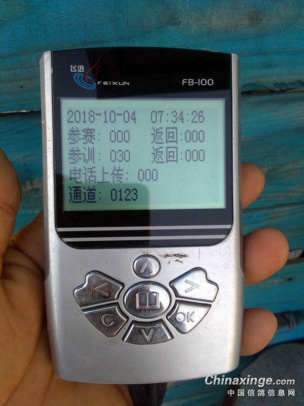 ´ڞg[DƬ