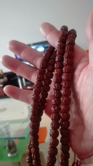 鸽友们情人节快乐,这串尼泊尔小金刚已盘玩整整六年,现晶莹红润就像