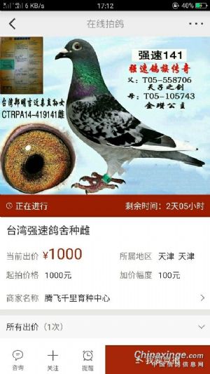 天津 腾飞千里育种中心 目前所拍卖伪造血统鸽 已经联系到台湾郑明吉