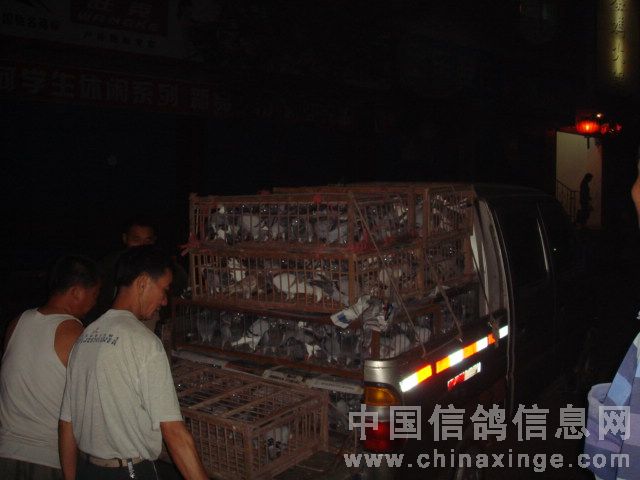 �Ĵ����У����복��������(ͼ)