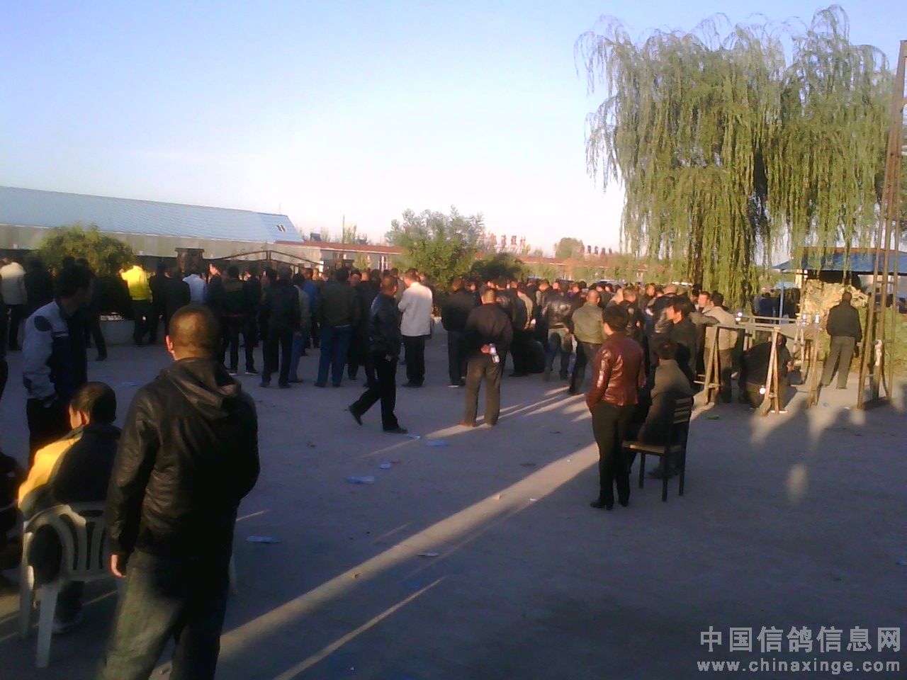 ��ͷ���ǿ��վ����ȸ��ֳ�(ͼ)