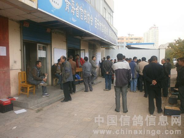 ���������������ھ���¯(ͼ)