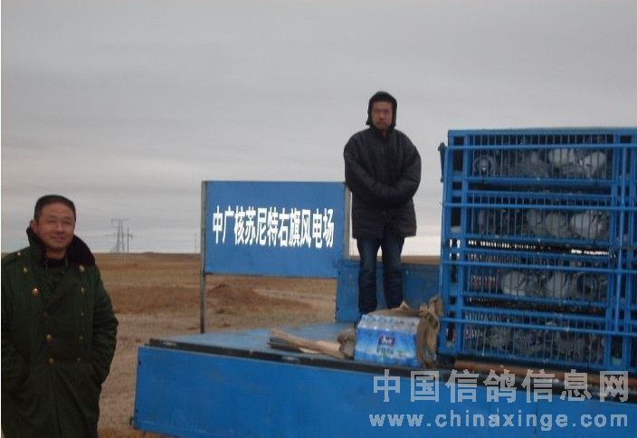 14���رȹϷ�18.8��Ԫ����(ͼ)