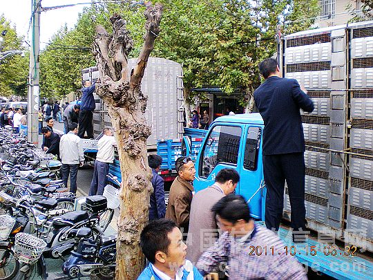 ���ո����＾�׳�����������(ͼ)