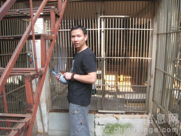 �����ϡ���ţ173����첨(ͼ)