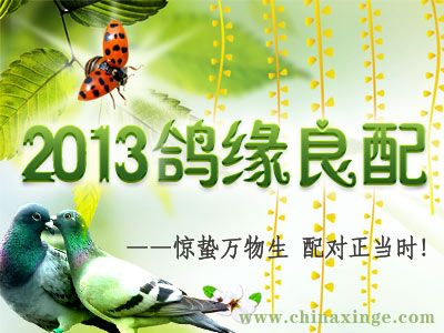 2013��Ե���䡪������������ �������ʱ