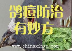 ר�⣺�붻����