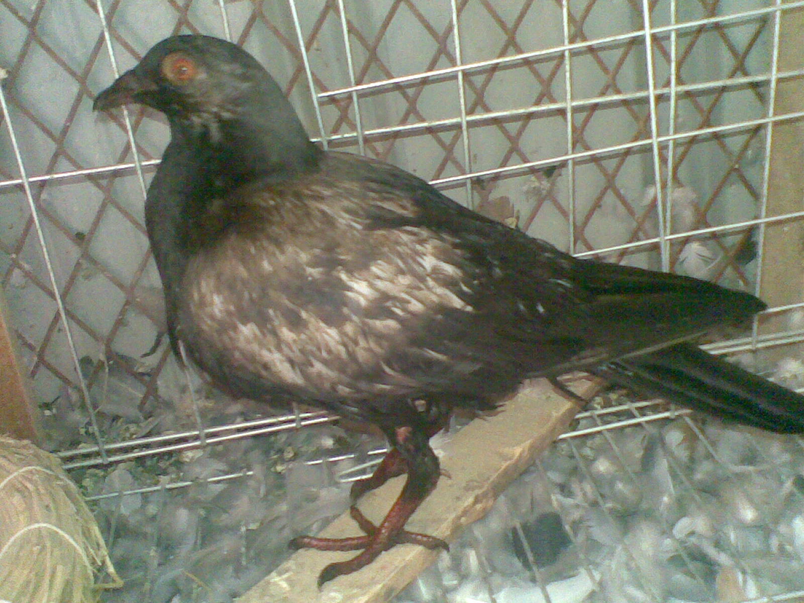 ˽ѵ��������ѻ