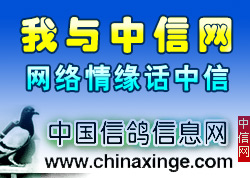 ������Ե�����Ű��ꡪ����������������ר��