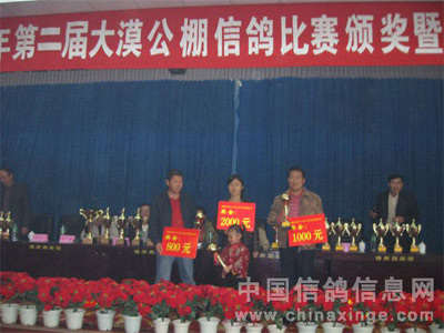 �½�����մ�Į���빫��������(ͼ)