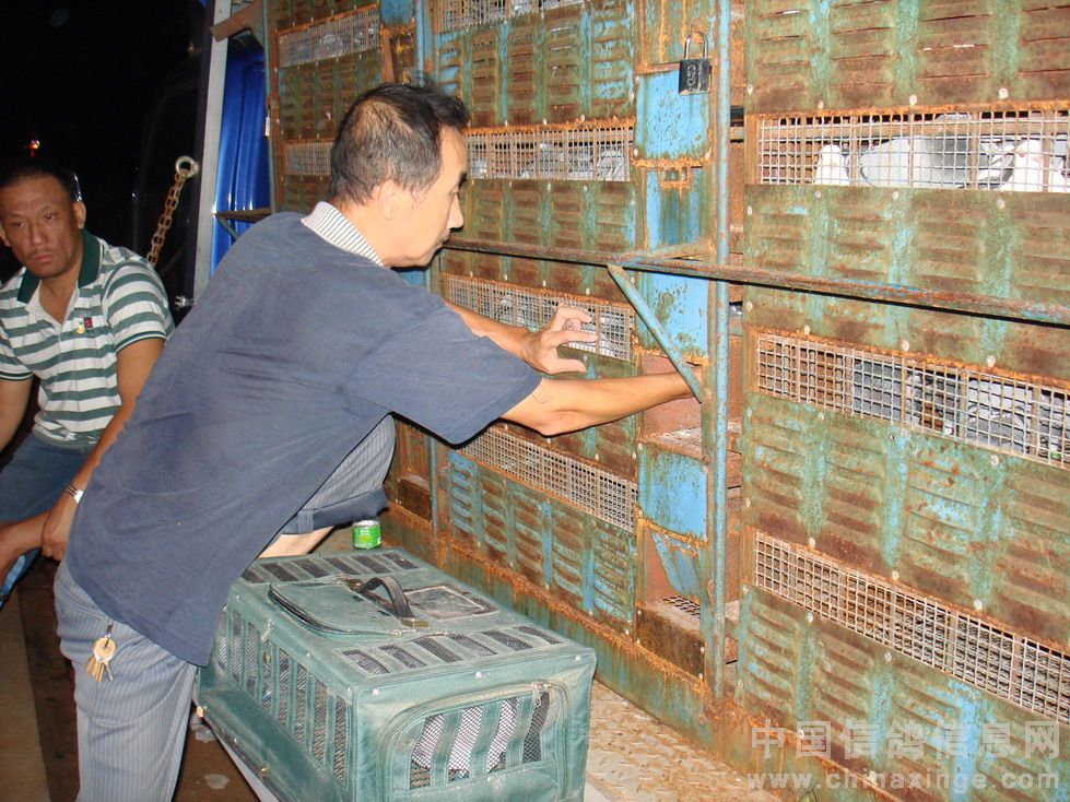 ΰ�ľ��ֲ�ǧ����ʿ�纣ѵ��(ͼ)