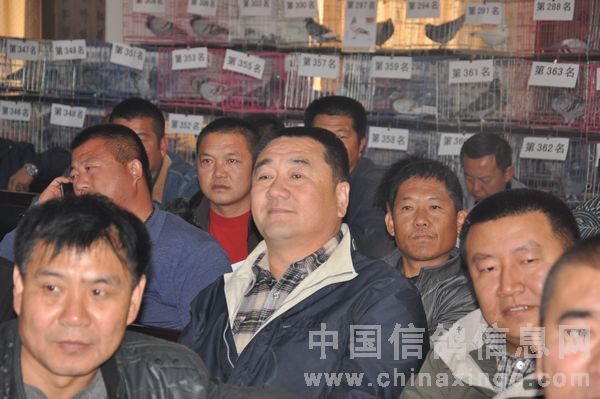 ���칫��338����������ֳ�