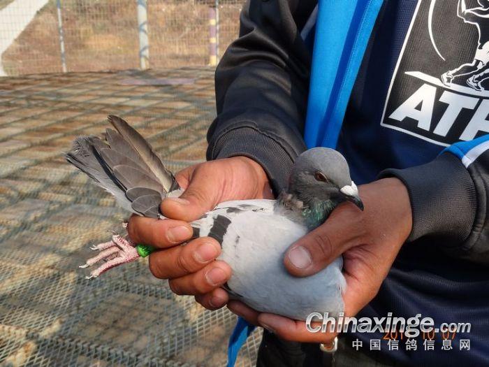 �����ƶ��������ǰ����(ͼ)