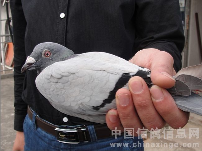 ��ͷ̩����ظ���420��������