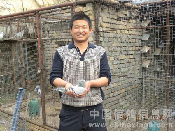 ����1319��500����ǰ����(ͼ)