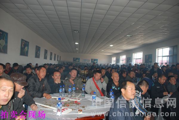 ������ʢ����佱�������ֳ�(ͼ)