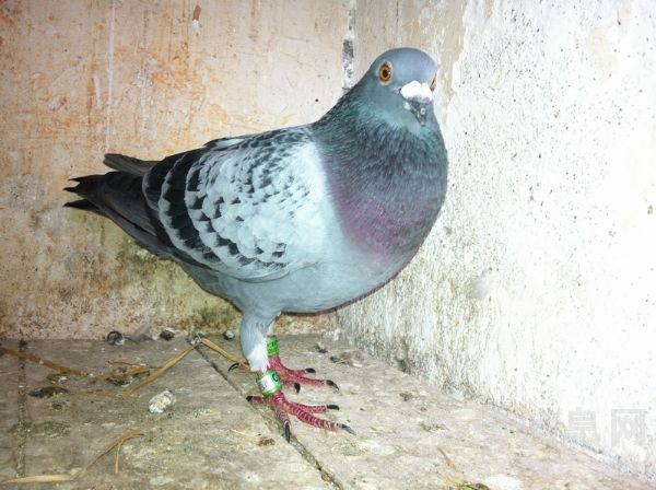 �������558���Ͻ���(ͼ)