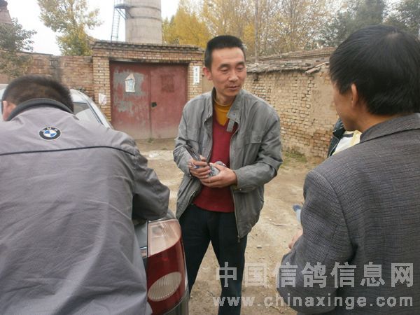 �����ڶ���300����ͷ��ٹ鳲(ͼ)