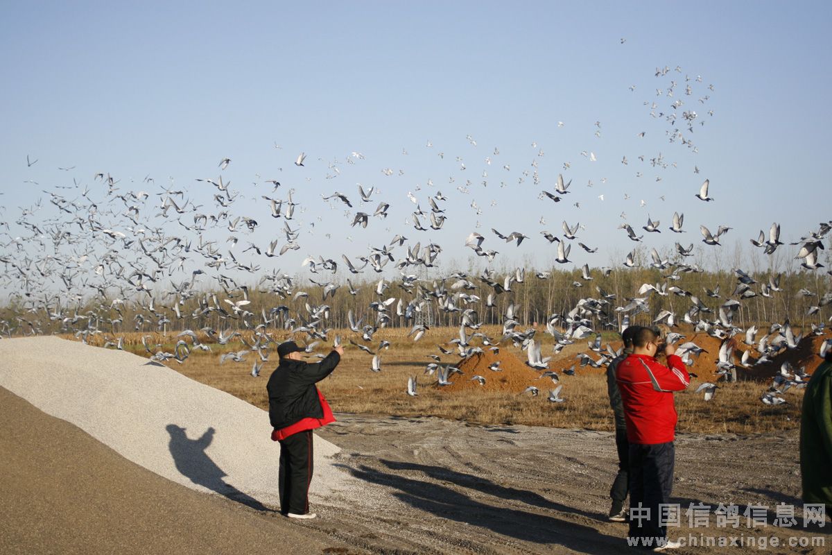 �򸣹������514����������