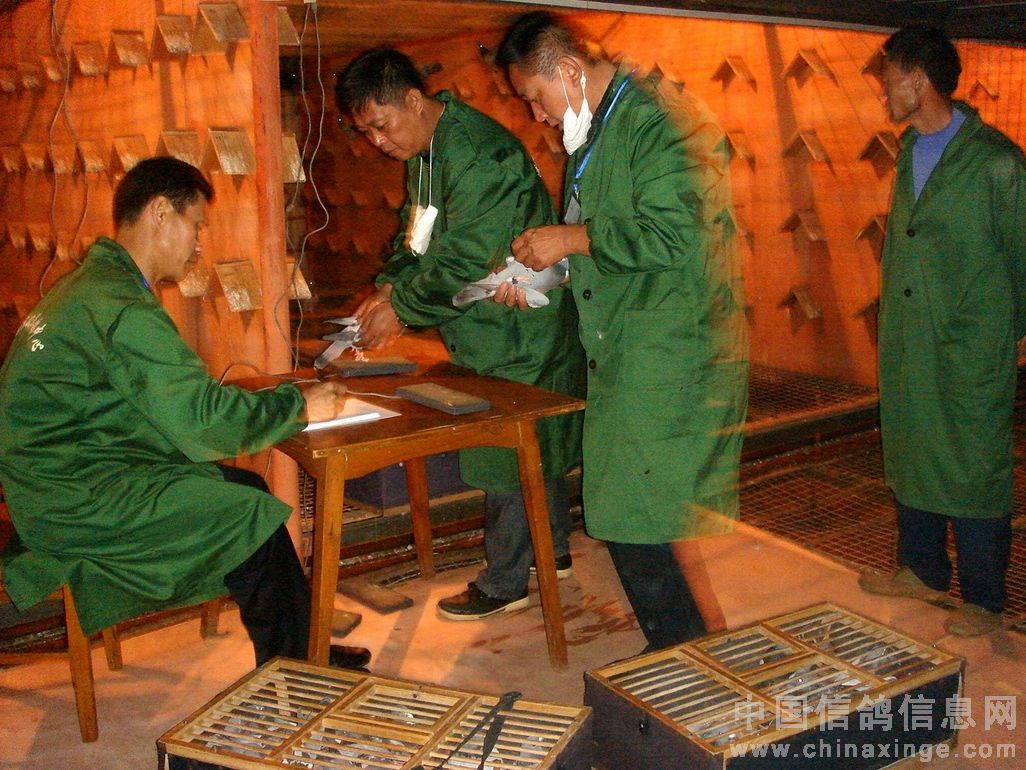 ������ڹ�������1774��(ͼ)