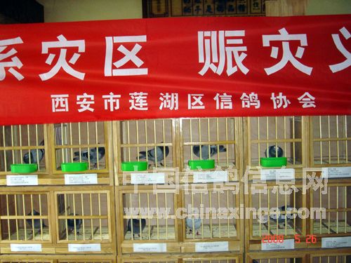 ���ӽ�����������ø���ͼ��