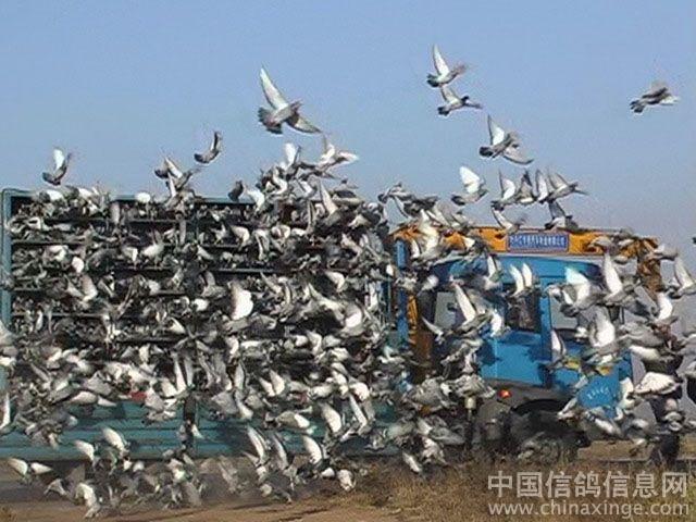 �����̽����繫��300����Ԥ����ͼ��