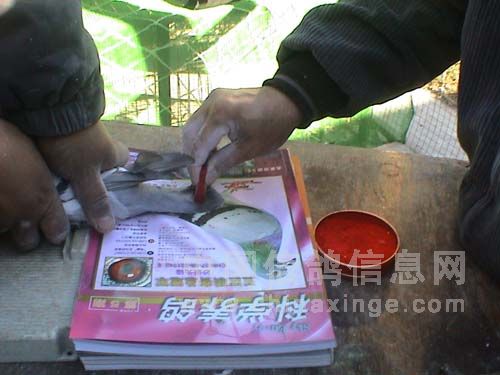 �������ǿ��չ�����������ֳ�ͼ¼