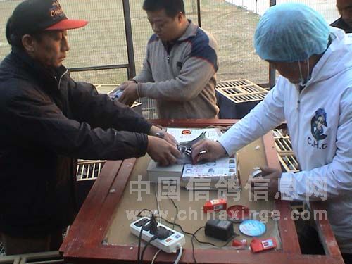 ������ŵ�����������ͼ¼