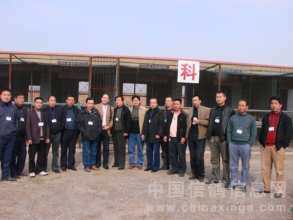 �����ɵ���������������ֳ�(ͼ)