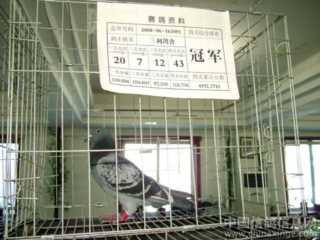 ��ʯ�����׽��Ÿ�������(ͼ)