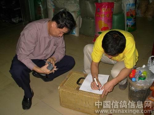 ���ڲ�ͬѰ���Ĵ�������(ͼ)