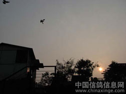 ��Ȥ������.һ֮��