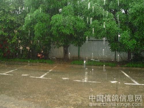 �������������� ����ǲ���ξ�η