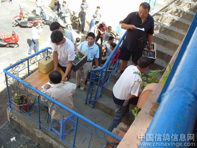 ������230�����Ÿ뾺�������ͼ��