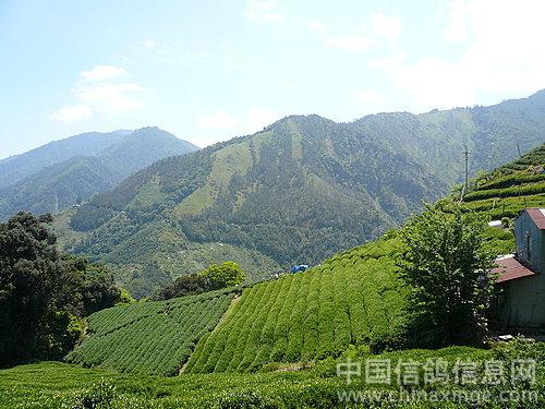 ̨���ɽɽˮˮ(ͼ)