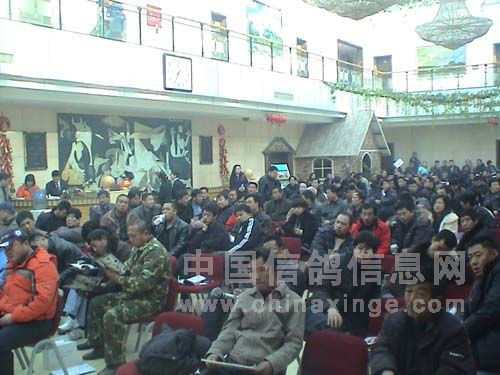 �����ƶ�·��������ר��������ͼ¼