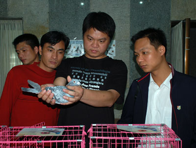 ��������ŷ������չ���Ļ������(ͼ)