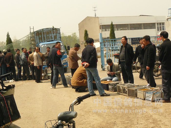 ���ݹ�������ЭһƷ��500�������