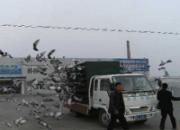 ���͸�Э09�괺500���Ｏ�뼰˾��ͼ