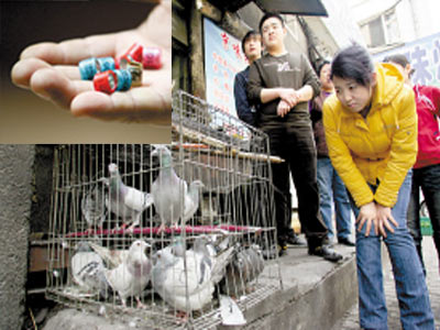 ���������Ÿ뱻�����٣��ɳ��տ����¾Ʋ�(ͼ)