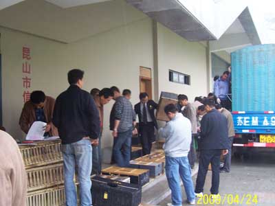 ������ɽ��Э����300������շŷ�