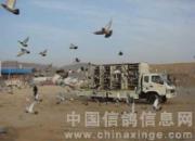 ��ͷ���ֹ���500������������ֳ�